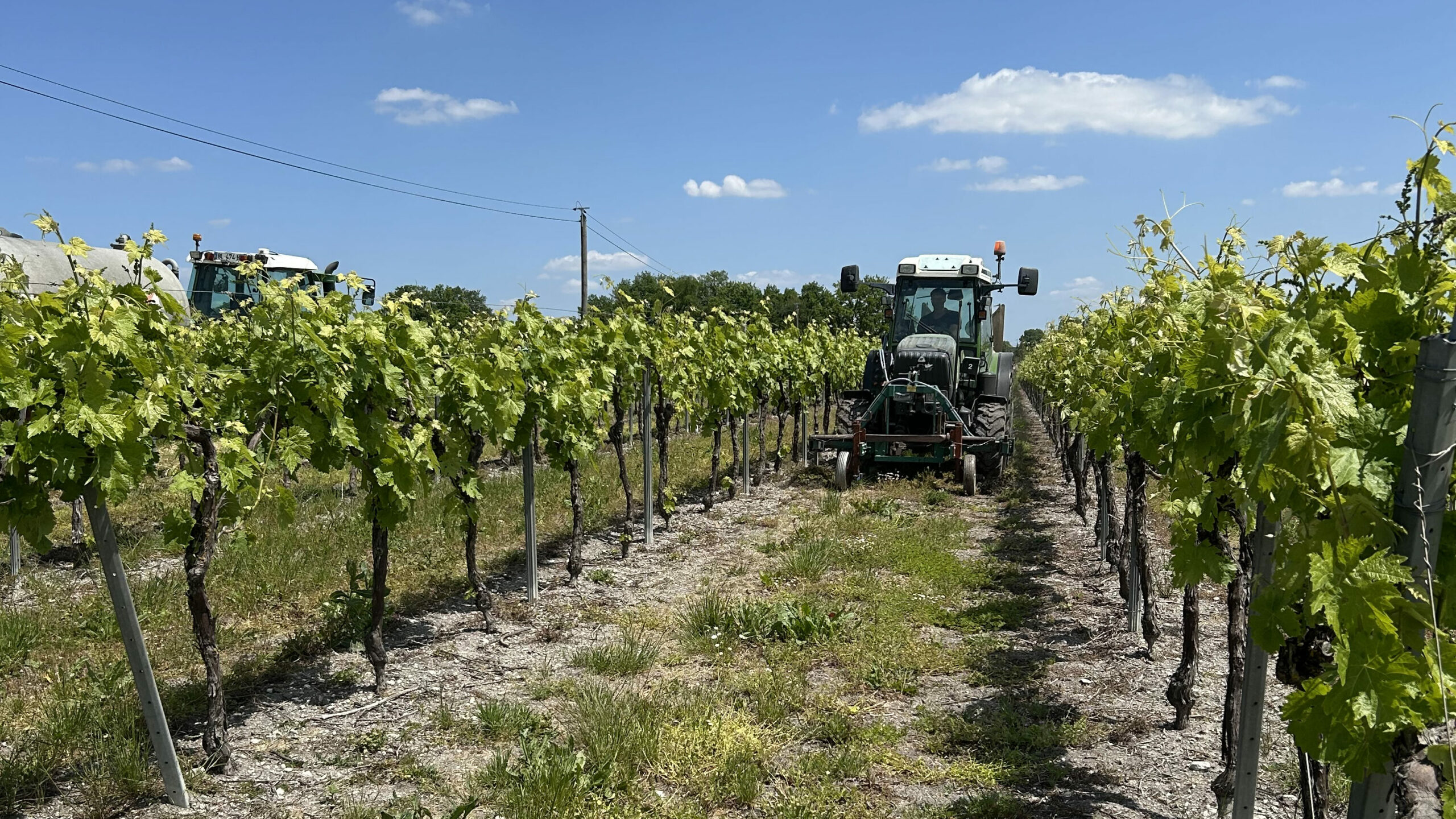 Union Des Coopératives Agricoles